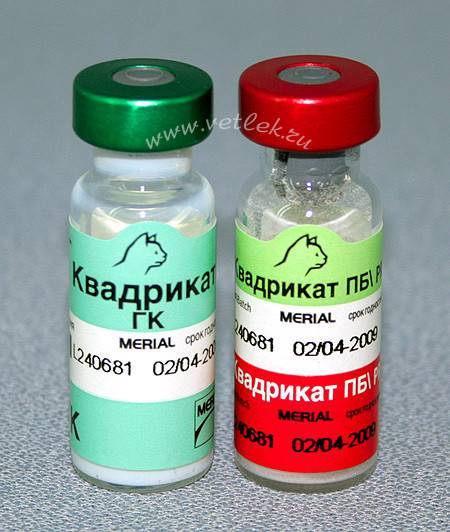 Вакцины от коронавируса в россии и мире: обзор препаратов