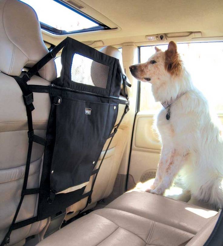Как путешествовать с собакой на машине: 15 шагов