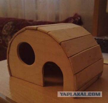 Как сделать домик для хомяка своими руками? :: syl.ru