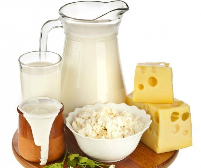 Можно ли крысам молоко: едят ли домашние декоративные питомцы сыр, почему нельзя жирные продукты