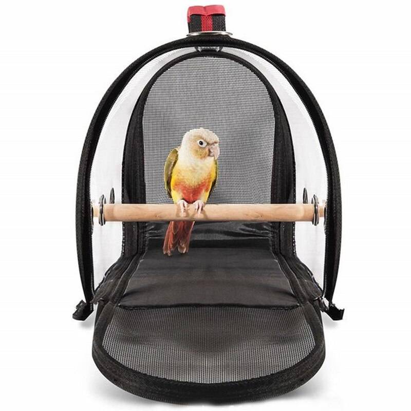 Кормушка для попугая: когда выбрать навесную, напольную, автоматическую и как сделать своими руками
