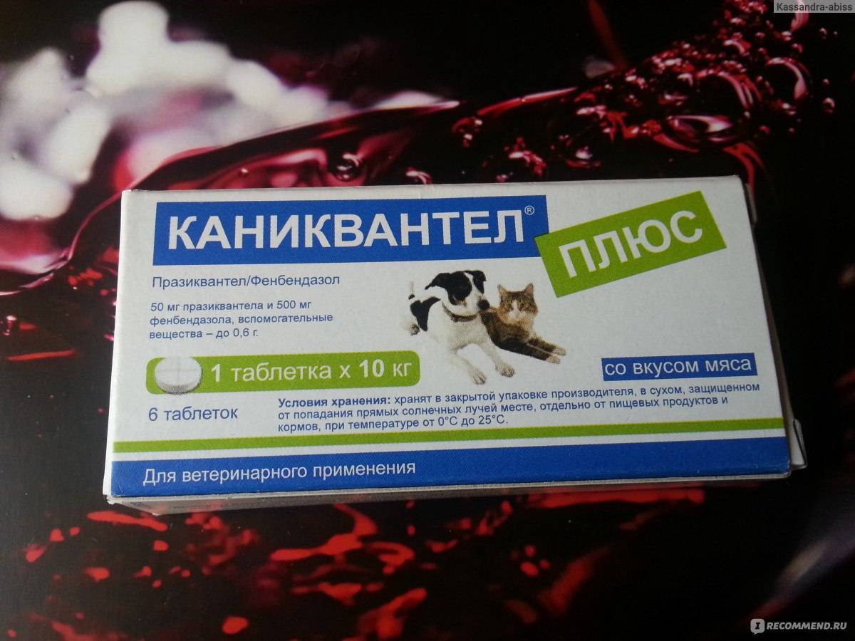 Каниквантел  плюс