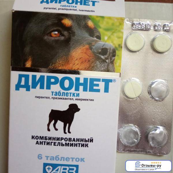Собаке от глистов как часто. Диронет для собак таблетки. АВЗ диронет 200 таблетки. Противоглистные препараты для собак диронет. Диронет таблетки от гельминтов для собак.