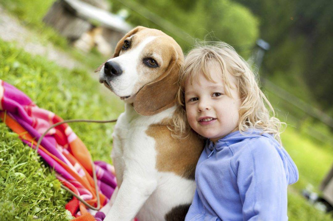 Собака для семьи с детьми: какую породу выбрать