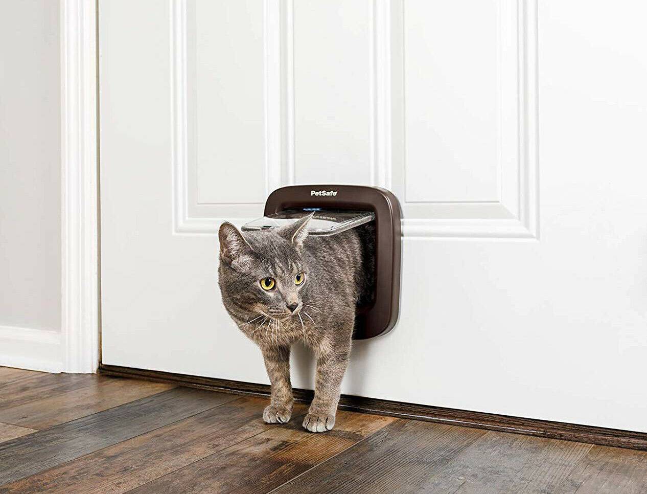 Как делается дверца для кошек и собак в двери
как делается дверца для кошек и собак в двери