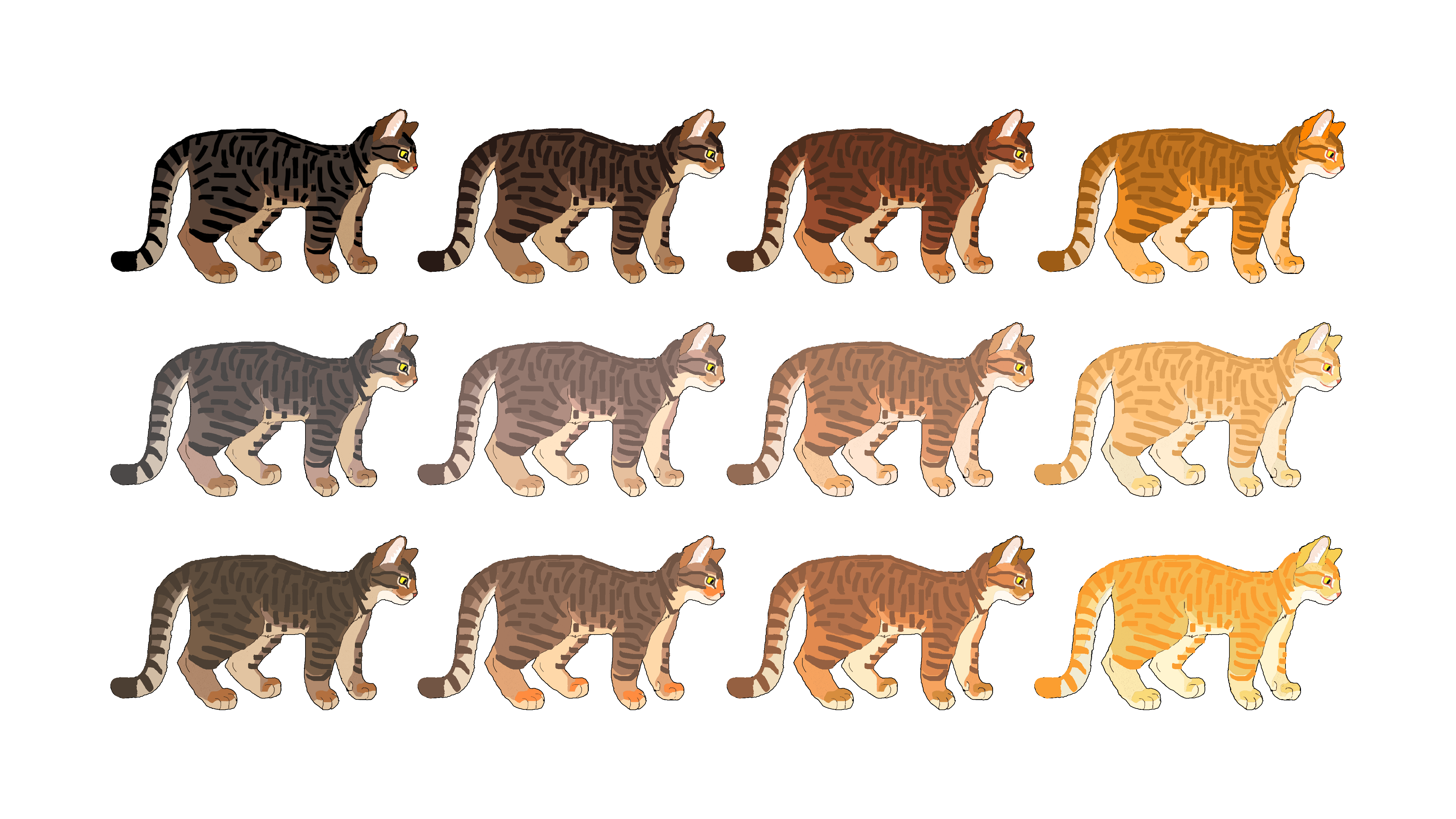Окрасы кошек: общая информация