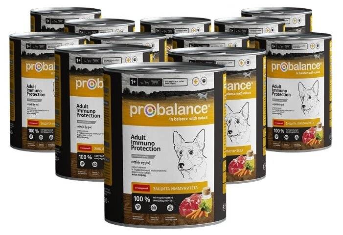 Сухой корм для собак probalance («пробаланс») — обзор и описание линейки, производитель, состав, виды, плюсы и минусы