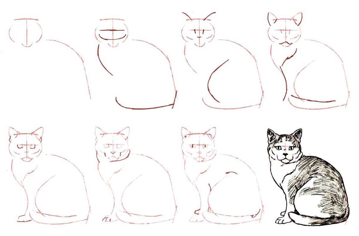 Уроки рисования для начинающих поэтапно. Кошка рисунок карандашом. Поэтапное рисование карандашом. Уроки рисования кошек. Кот рисунок карандашом поэтапно.