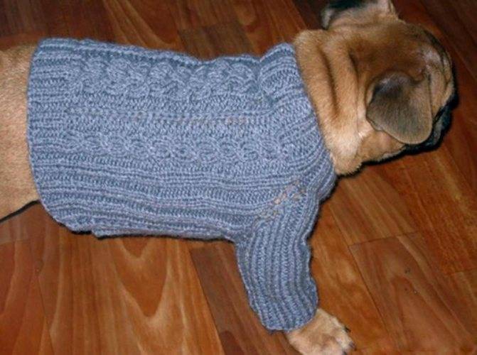 Вязаная одежда для собак спицами: схемы для начинающих