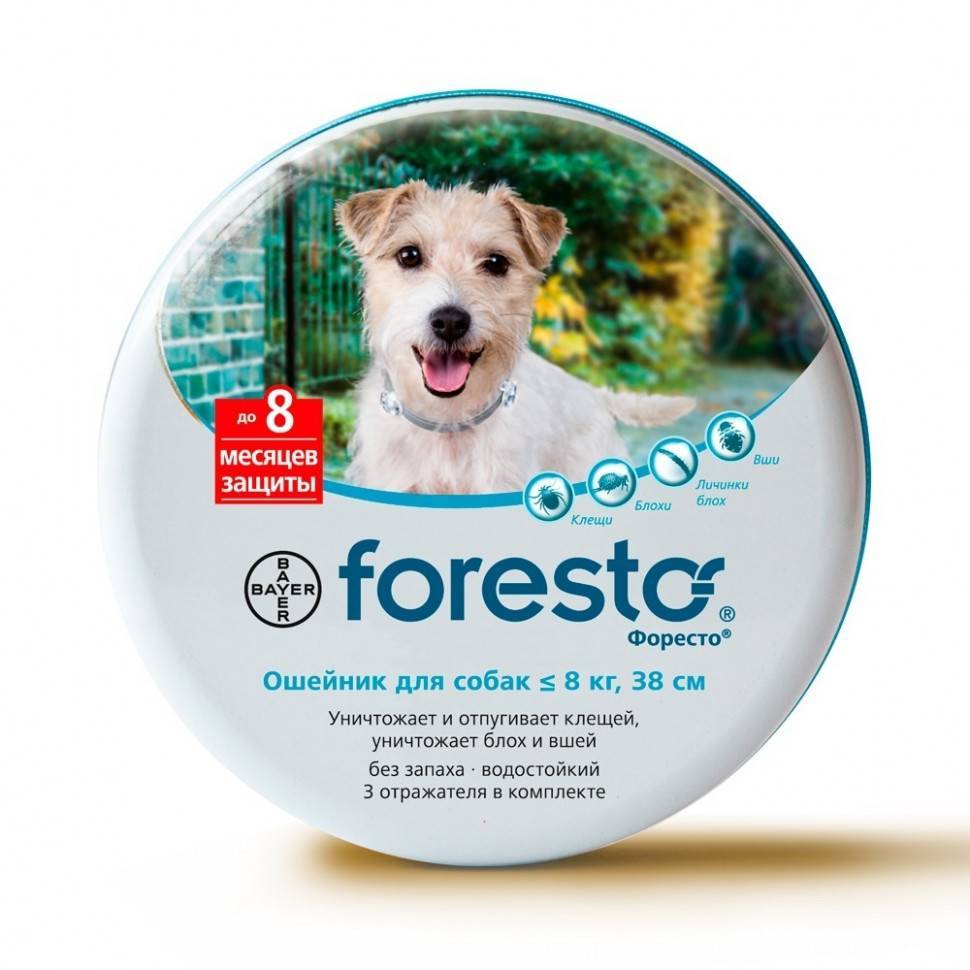 Форесто / foresto (ошейник) для собак и кошек | отзывы о применении препаратов для животных от ветеринаров и заводчиков