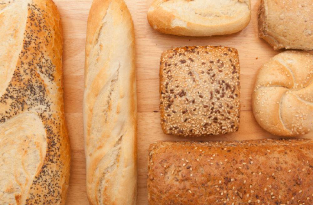 Можно ли давать собакам хлеб и каким лучше кормить?