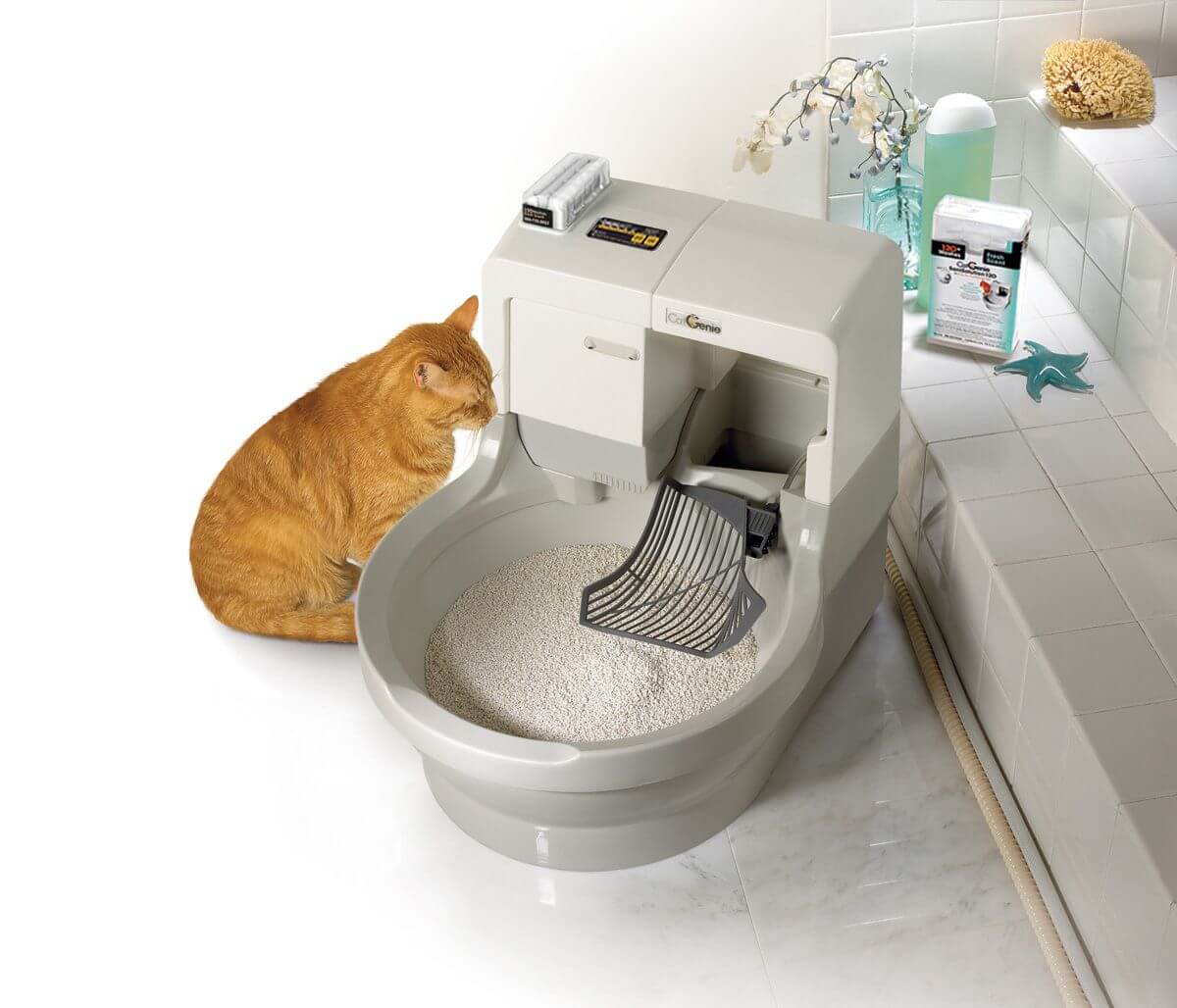 8 лучших закрытых туалетов для кошек 2022