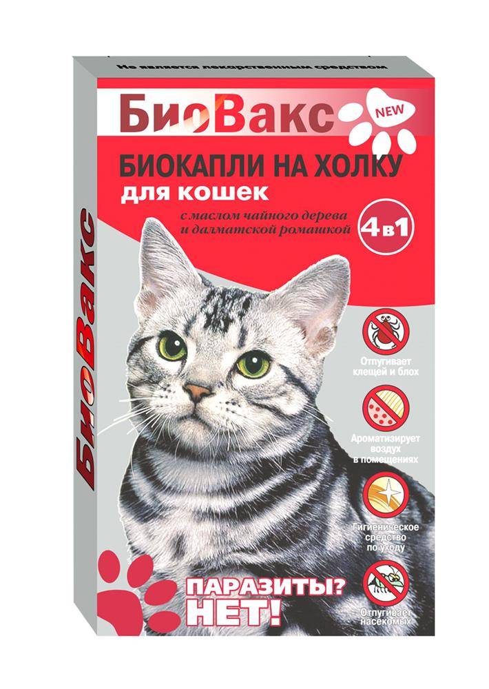 Капли от блох для кошек и котов: какие лучше | отзывы