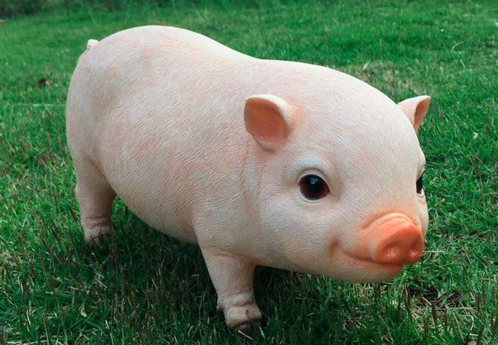 Идеи кличек для свинок-малышек – клуб любителей хрюш