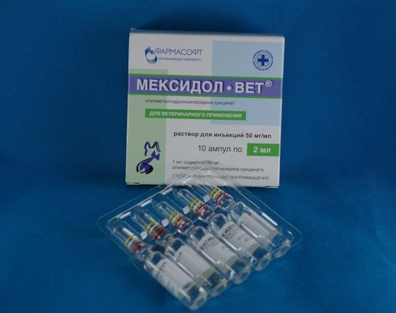 Мексидол-вет (ампулы, таблетки) для собак и кошек | отзывы о применении препаратов для животных от ветеринаров и заводчиков