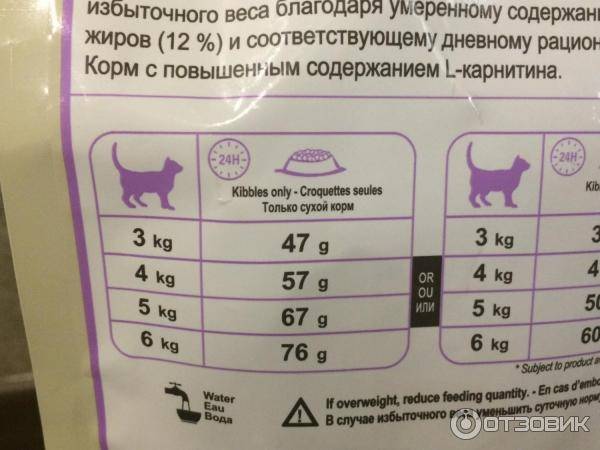 Как кормить котенка в 3 месяца сухим кормом: основные правила