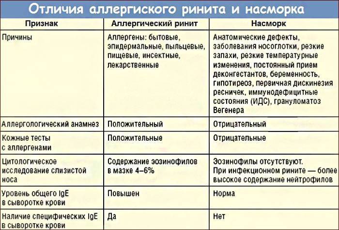 Морские свинки для детей с аллергией
