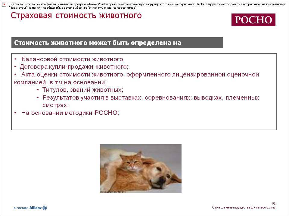 Страхование животных