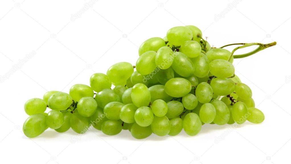 Можно ли хомякам давать виноград и виноградные косточки