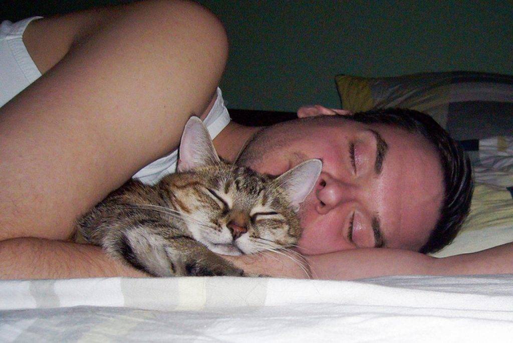 Почему кошки любят спать рядом с хозяином, в ногах у человека, что это может значить?