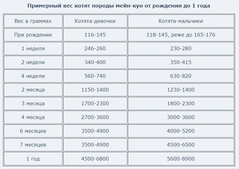 Примеры сколько должен весить котенок в зависимости от его возраста