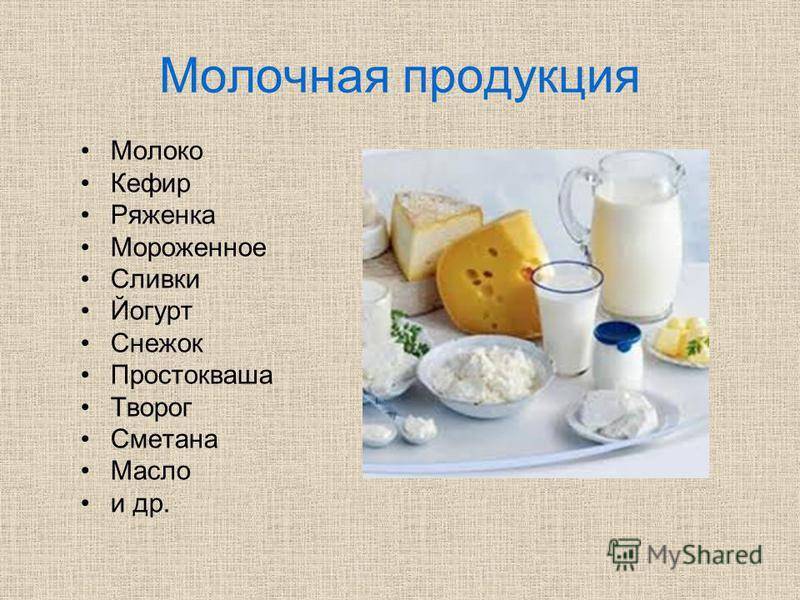 Можно ли хомякам молоко и молочные продукты?