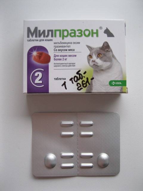 "милпразон" для кошек: отзывы ветеринаров, инструкция по применению и отзывы. средство милпразон: защита кошки от глистов
