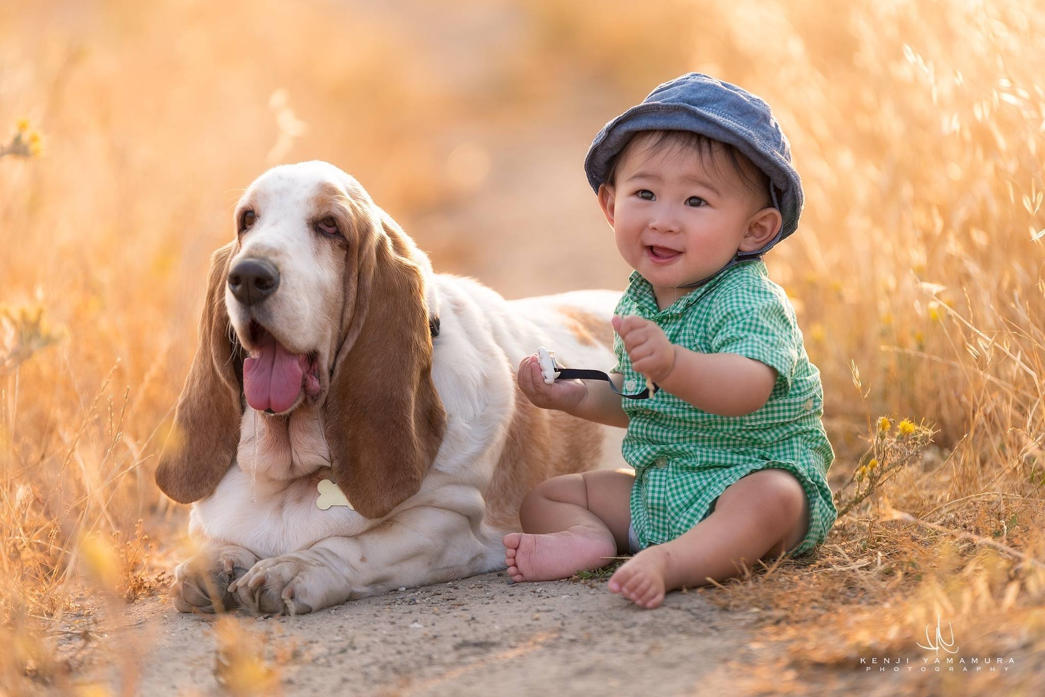 Лучшие породы собак для детей: выбираем идеального питомца