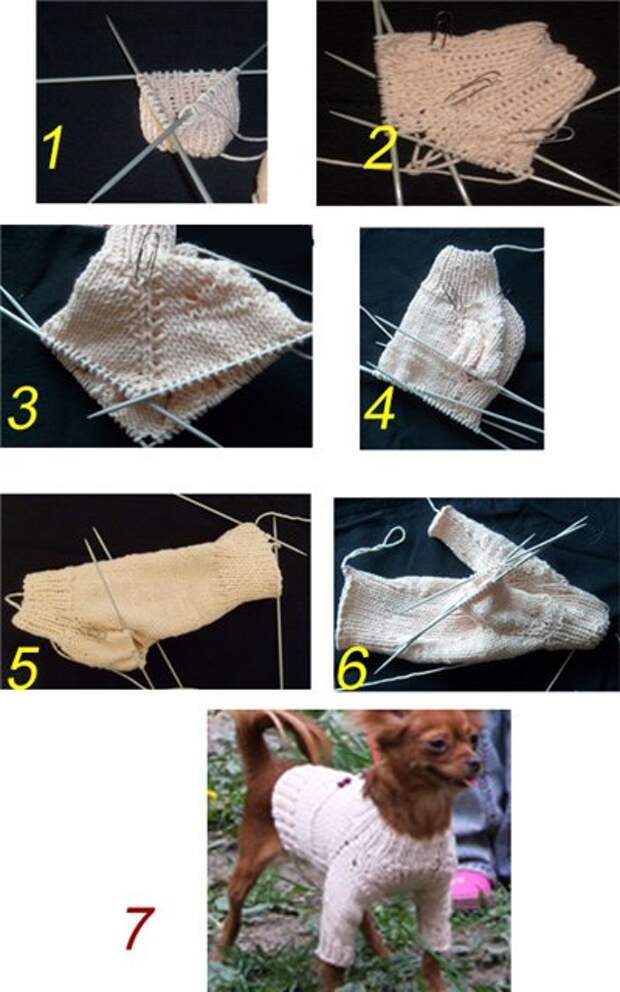 Как связать свитер для собаки: спицами, крючком, мастер-классы с фото, схемами, видео для начинающих