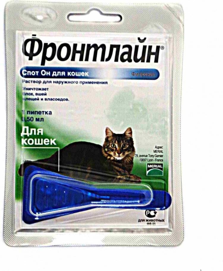 Фронтлайн для кошек: инструкция по применению спрея, каплей комбо, спот он, отзывы
