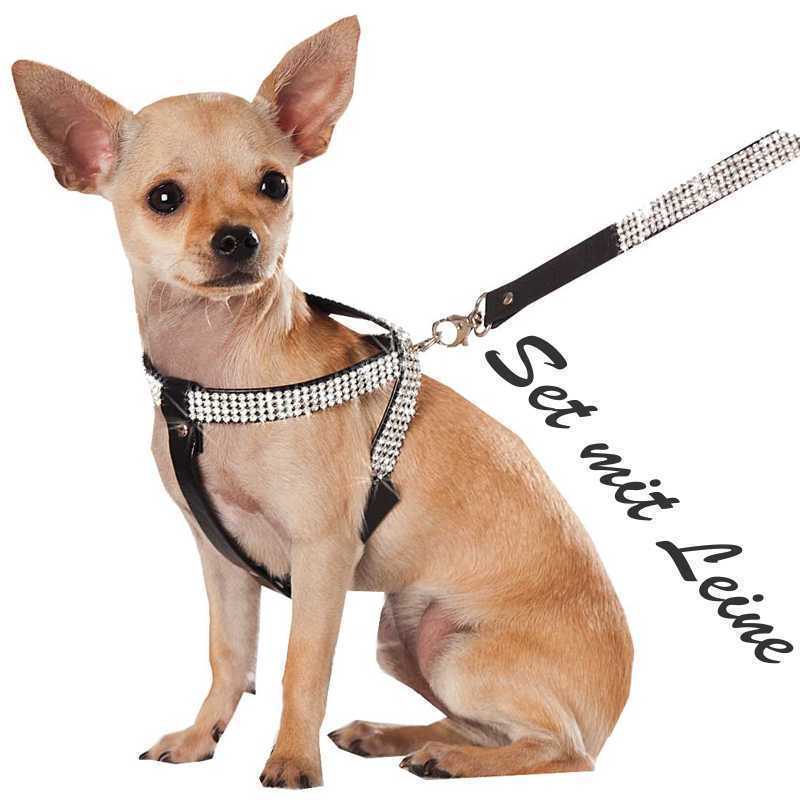 Как правильно одеть шлейку на собаку: как называется ошейник через лапы, поэтапная инструкция по применению с фото, схема