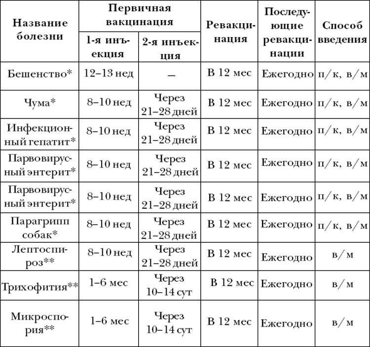 Вакцинация хорька схема