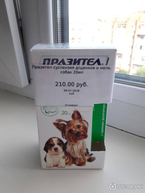 Инструкция к суспензии и таблеткам паразител для собак