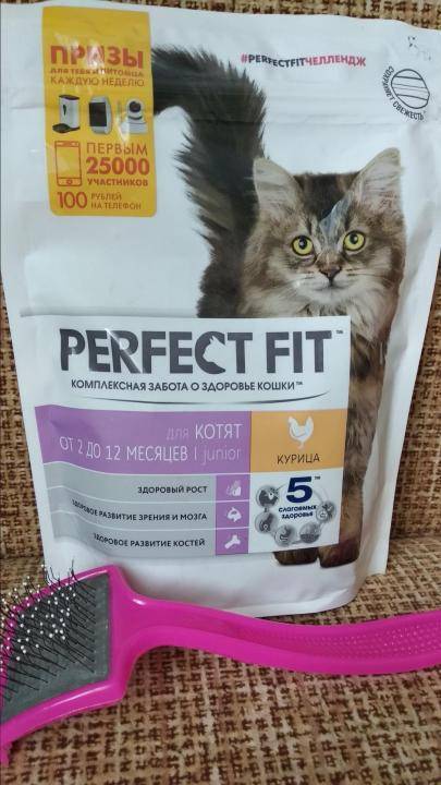 Perfect fit корм для кошек: разбор состава, отзыв ветеринара