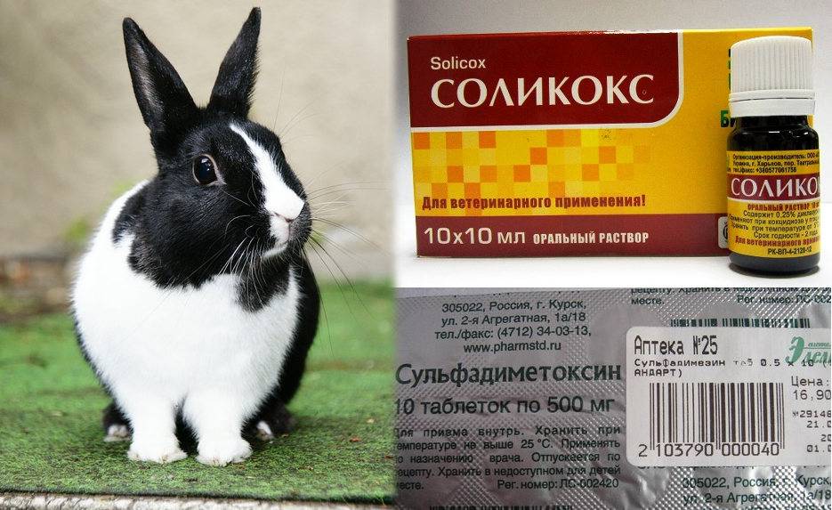 Йод для кроликов, как давать современные препараты йода
