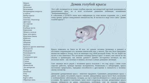 Какие продукты можно давать крысам