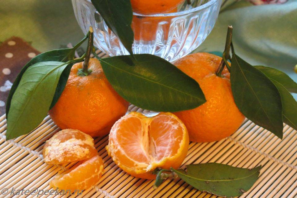 Апельсины, мандарины и другие цитрусовые в рационе крыс — польза или вред?