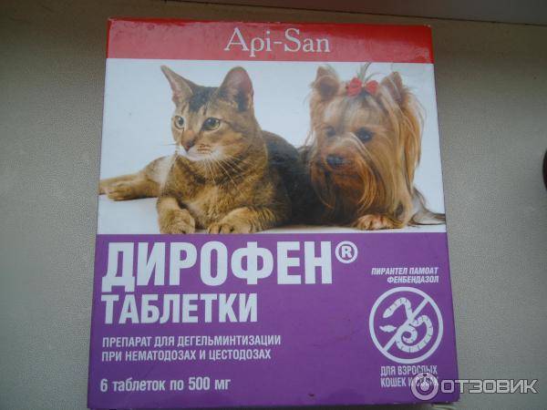 Дирофен плюс таблетки от глистов для кошек и собак: отзывы, описание, инструкция по применению, аналоги