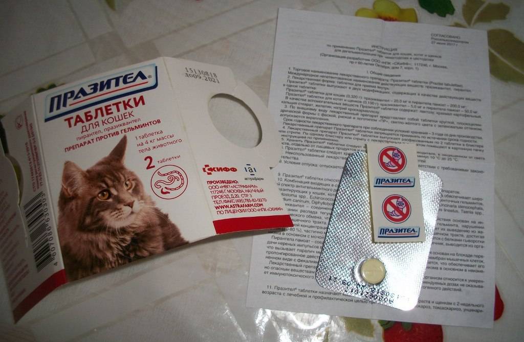 Празител таблетки для кошек и котят