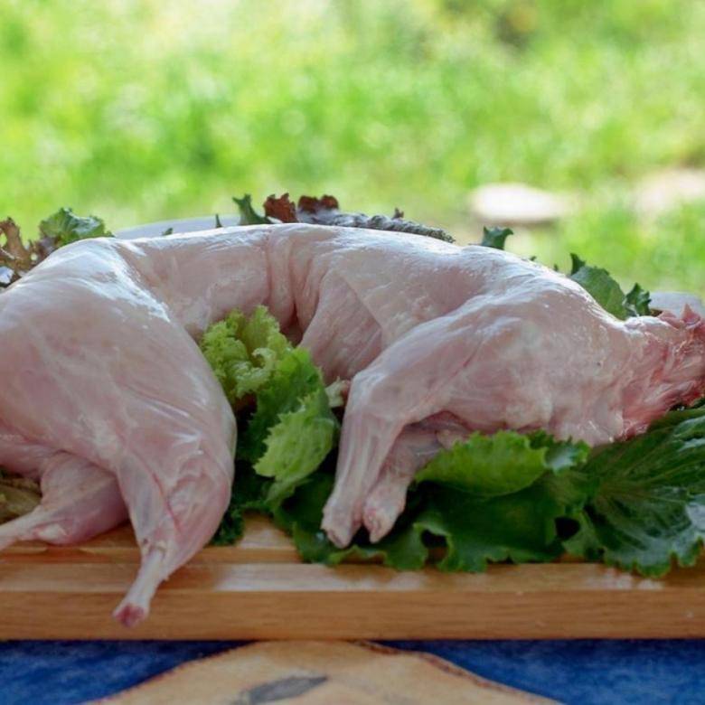 Сколько стоит мясо кролика за 1 килограмм в россии