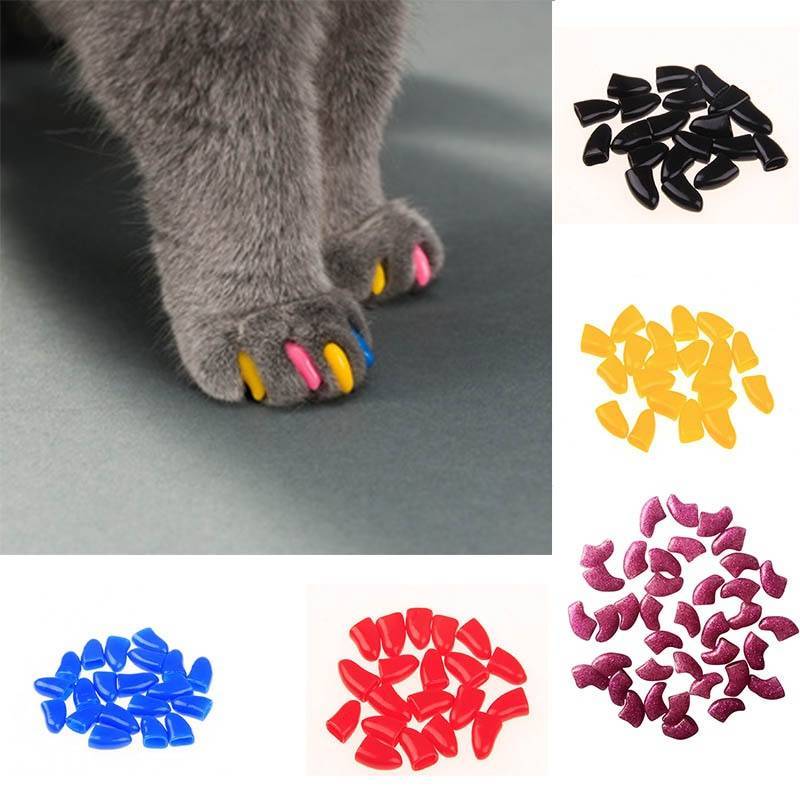 Силиконовые накладки на когти для кошек: какие лучше