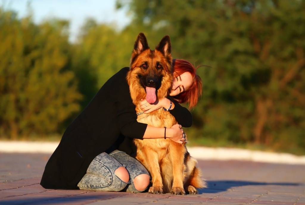 Собаки, которые не станут слушать другого хозяина: 5 самых умных и преданных пород