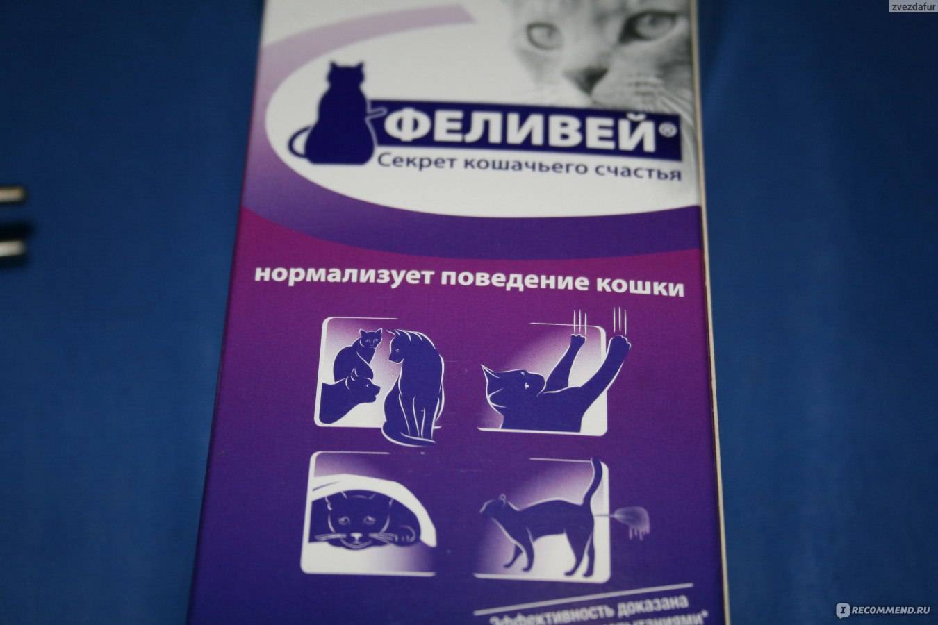 Feliway (феливей) для кошек: инструкция по применению, описание, противопоказания, побочные действия | препараты | наши лучшие друзья