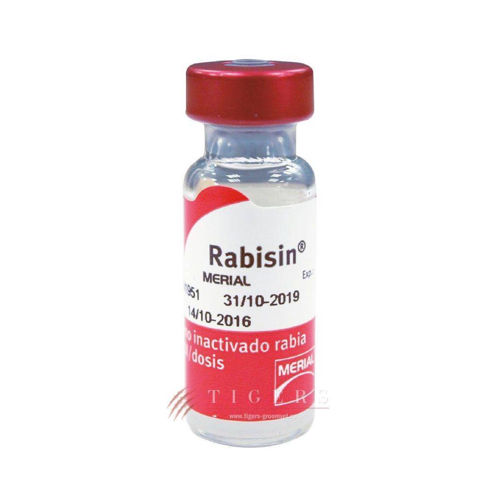 Рабизин для кошек: инструкция по применению вакцины с рекомендациями и отзывами. с какого возраста можно делать прививку котёнку?