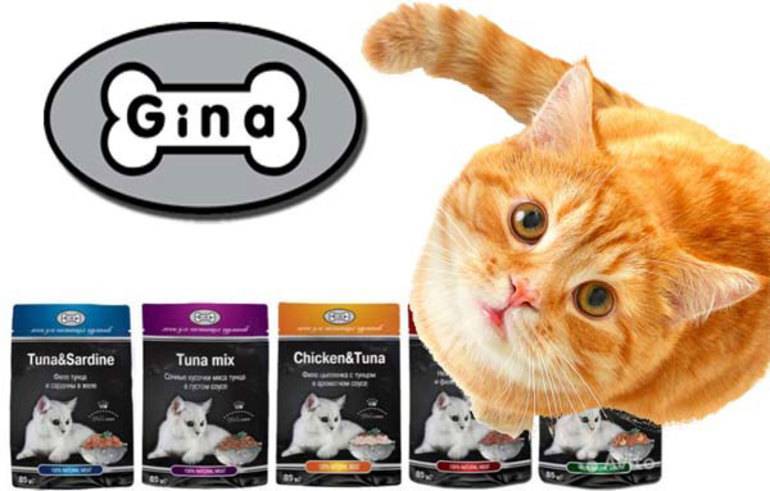 Обзор корма для кошек джина (gina): виды, состав, отзывы