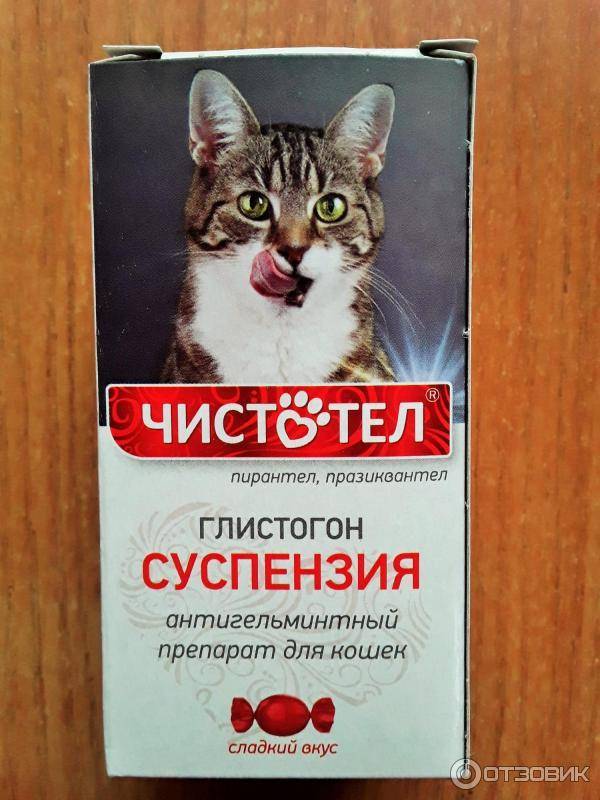 Глистогонное для кошек - обзор антигельминтных препаратов