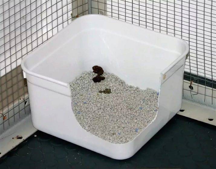 Туалет для крысы своими руками