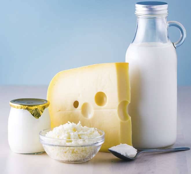 Сыр это молочный продукт или нет. кисломолочные продукты