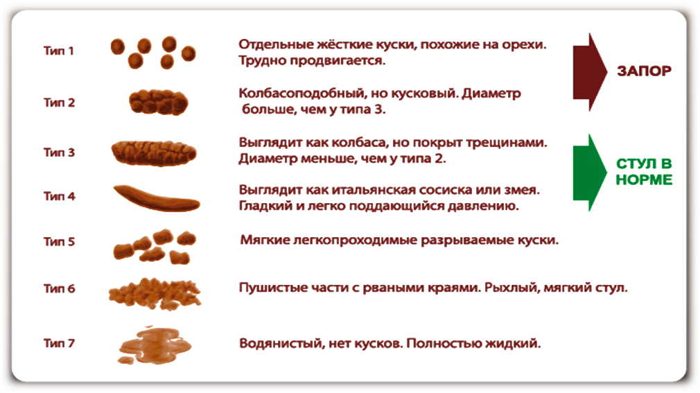 Лямблиоз