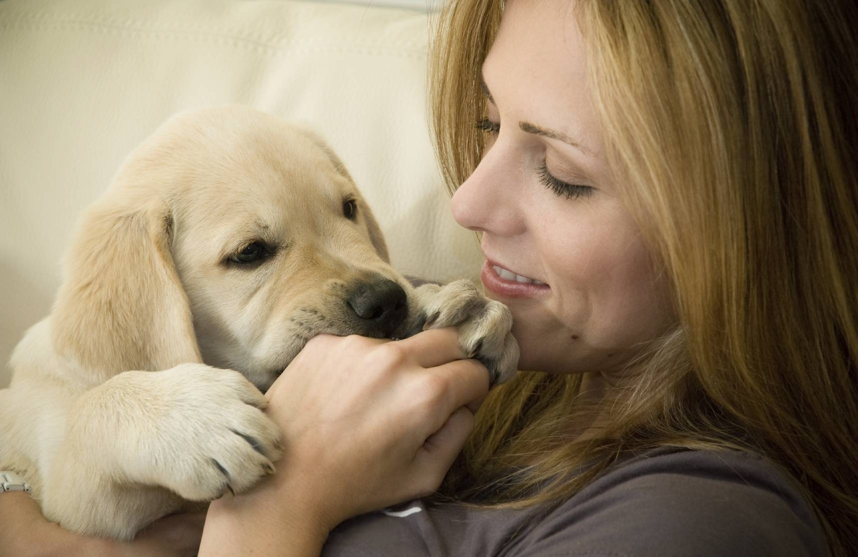Отучаем щенка кусаться – 11 верных способов и ошибки хозяев